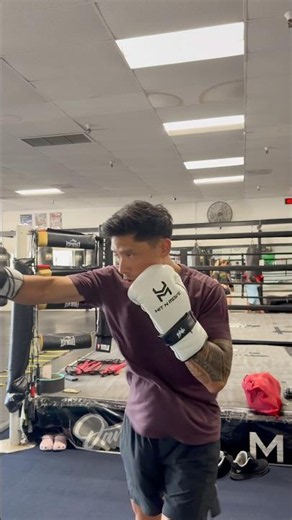 Hit N Move Vector Boxing Gloves | Maize Bag
