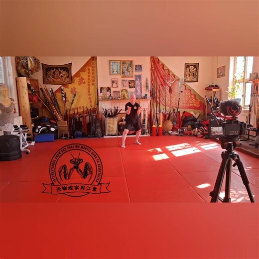 New online chow gar southern praying mantis kung fu platform coming soon #chowgar #kungfu #icgpma
