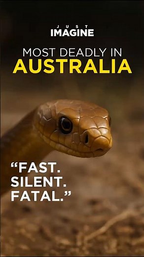 Australia’s Deadliest Snake – The Eastern Brown Strike | Documentary