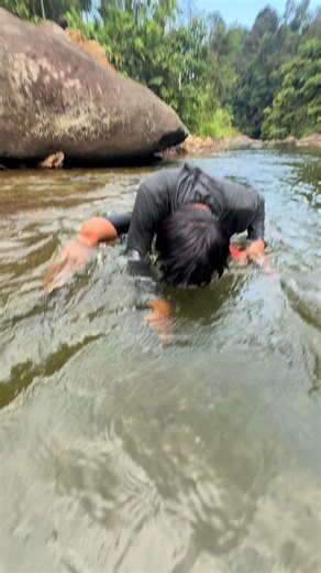Underwater Discovery of Gold Stones Attached to Rocks