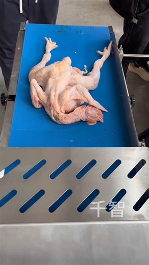 World’s Fastest Chicken Processing Machine ⚡#shorts #youtubeshorts #viralshorts #trending #chicken