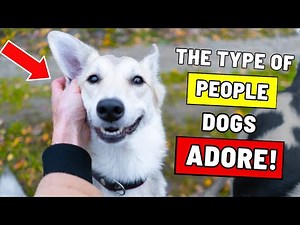 Dogs Remember People Who Do These 8 Things – Forever