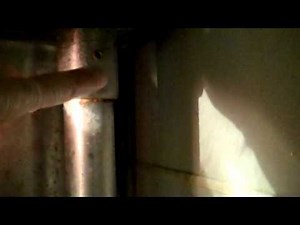 Commercial Restaurant Pest Control Hot Spots