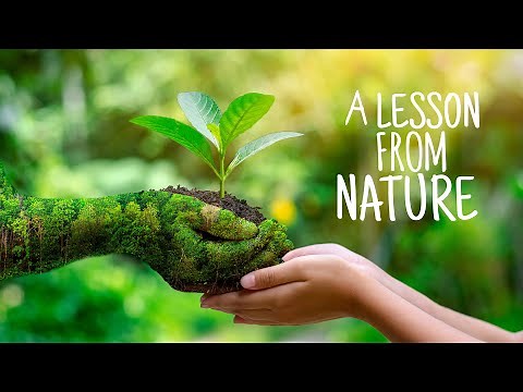 A lesson from nature | Moral Story | Short animated Story | Bedtime Story