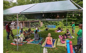 Into the Woods Farm | Goat Yoga Near Saratoga Springs, NY