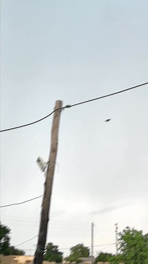 2.3K views · 17 reactions | Waking up to a very bad weather this Blue Monday  Hope y'all are good ❤ Levincey Vincent Ratshilaya . #Levincey #fyp #Monday #home #weather | Vincent Ratshilaya MultiTalented Model | Facebook