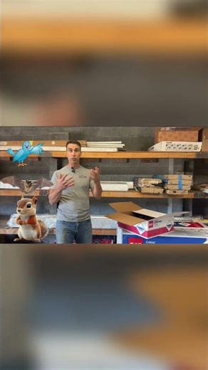 Chimney Caps Save You From Uninvited Guests in Your Living Room | Joyland Roofing