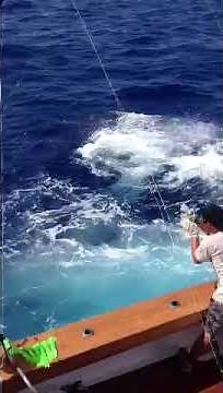 350lb Blue Marlin Jumps into cockpit of Marlin Darlin
