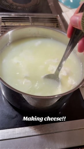 Ever wondered how easy it is to make fresh cheese at home? 🧀✨