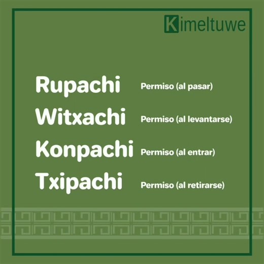 Idioma y Cultura Mapuche... | Mapuche