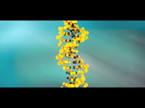 What is Bioresonance? (English)