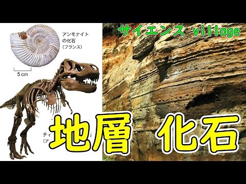 中学１年 理科『地層・堆積岩・化石』【現役教師による授業動画】