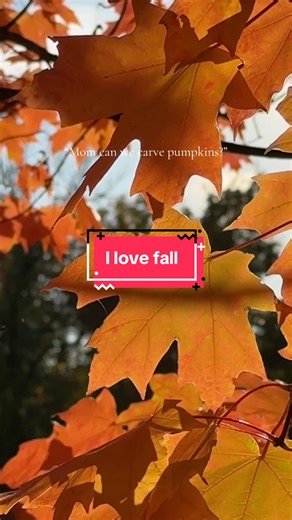 Approaching peak color 🤌🎃🍁 #fall #autumn #folliage #pumpkinseason