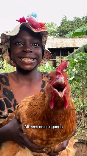 #chickendance #colombia #foryou #funny | chickens dancing