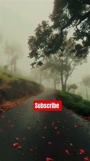 Surah alif laam mim #original #sound #trend #viral #tricks