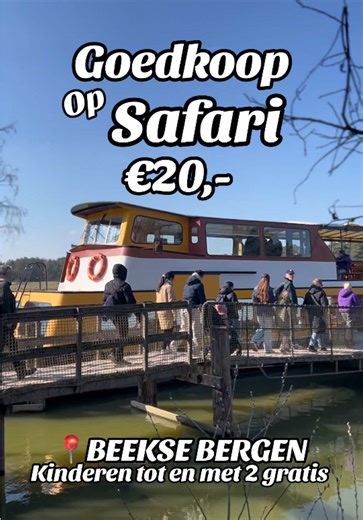 Goedkope Safari Ervaring in Beekse Bergen met Peuter