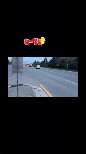 Mike Dancy on Instagram: "F*ck this city - changes are needed #brampton #2026 #election #cityplanner #safety #frogger"