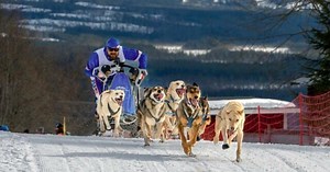 Meet the inspiring, top-ranked sled dog team