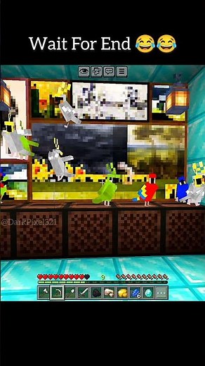Minecraft Funny Parrot Dance 😂 | Cutest Bird Dance Ever! #Shorts