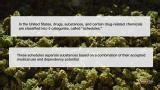 What do the different "schedules" of drugs mean?