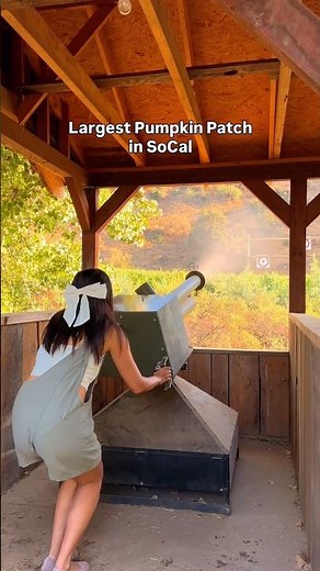 SoCal’s largest pumpkin patch is just an hour from Los Angeles 🎃