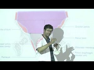 Lecture On Pelvimetry: Measuring the Pelvis for Childbirth & Clinical Significance | MBBS | TSMC