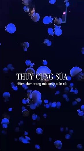 4.4K views | Alien Coffee on Reels | Facebook