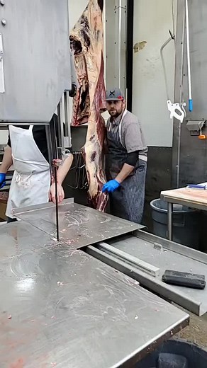 Front#food #butcher #albertabeef #albertafarmboy #farmandranch #fyp