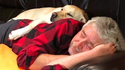 Dog snuggles with human in adorable captured moments