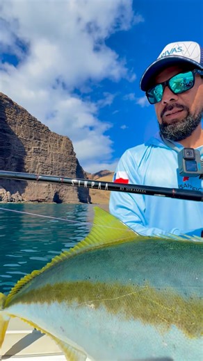 Juan Galleguillos Zapata on Instagram: "La temporada ya está aquí hermano The season is here bro 🎣 Rod: Zenaq Sinpaa 83 Hiramasa Reel: Shimano Stella 18k Line: Varivas SMP Hiramasa tune PE 8 Lure: Untamed YTK 210 Place: ROBINSON CRUSOE ISLAND #robinsoncrusoeisland #zenaqrods #hiramasa #kingfish #fishingtrip"