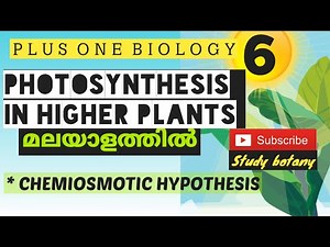 CHEMIOSMOTIC HYPOTHESIS-PHOTOSYNTHESIS IN HIGHER PLANTS | PLUS ONE BIOLOGY MALAYALATHIL