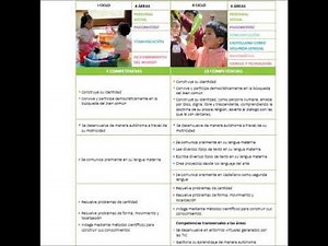 TEMA 4 COMPETENCIAS DEL NIVEL INICIAL CICLO I