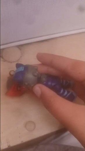 Cosmo x Tails Ouzbékistannonmiha Kiss #cosmo