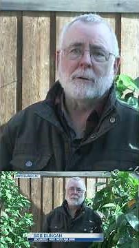 The ingenuity behind growing citrus fruits in Canada