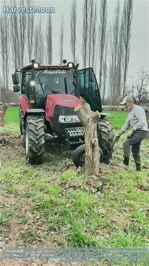 Baumstumpfentfernung mit dem Traktor! Die Methode mit Reifen als Puffer