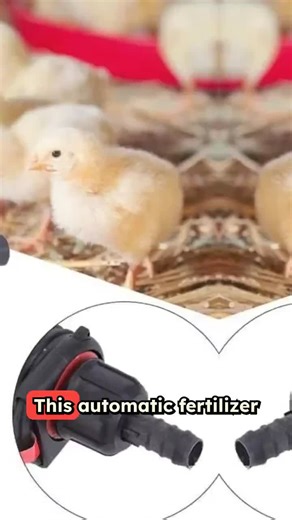 🌿 Adjustable Automatic Fertilizer Injector Pump — precise, efficient, and ideal for distributing nutrients in livestock setups! ✔️ Auto dosing, adjustable rates, built for durability 🚚 Free Shipping 👉 Shop now: https://wayo.llc/product/adjustable-automatic-fertilizer-injector-pump-for-livestock/ #FertilizerInjector #AutoPump #LivestockFarming #AgricultureGear #FertilizerSystem #FarmIrrigation #FarmTech #CropNutrition #LivestockSetup #BarnEquipment #EfficientFarming #AgriTools #PrecisionFertil