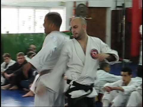 CRAZY Jiu-Jitsu & Krav Maga Demo by Roy Elghanayan!