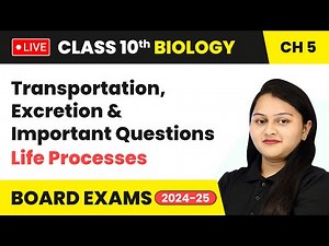 Transportation, Excretion and Important Questions | Class 10 Biology Chapter 5 | CBSE 2024 #live