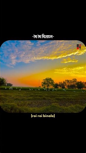 Roi roi binale ❤️ Zubeen Garg Song 🎵 Assamese Google lyrics Status 🖤 Zubeen Garg Song ❤️ Assam Cute