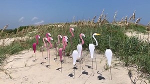 SWIRLING BIRDS....how fun for the garden!! There's so many kinds! Find them here (affiliate link)-->https://rstyle.me/ cXJlum8ej8pTrXwgOdn-nQ . | Crafty Morning