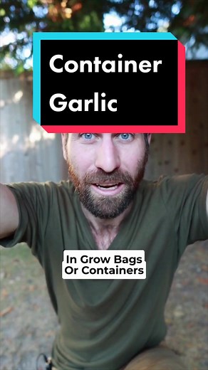 Grow Garlic in Containers with these EASY steps! #garlictips #howtogrowgarlic #containergardening #plantinggarlic #containergarlic #growgarlicathome