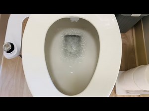 Rare Briggs Vacuity Toilet Flush | Toilet Flushing Desensitization Training