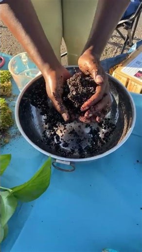 Spring Kokedama Workshop This Spring | Learn the Art of Moss Ball Gardening