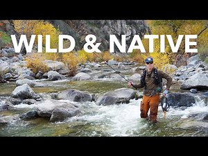 If I were to draw up a perfect fall fishing day, this is how it would go! Tenkara fishing, Nov '25