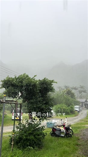 #小笠原諸島父島 #小笠原 #父島 #小笠原旅行 #ogasawara #chichijima #世界自然遺産 #豪雨