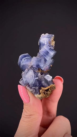 5.9K views · 428 reactions | A choice specimen of the classic purple...