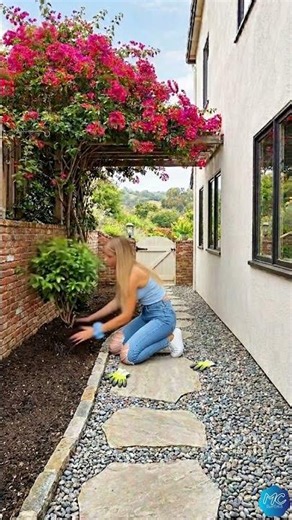 DIY Garden Makeover From Bare Dirt to a Serene Stone Pathway with Lush Tropical Plants