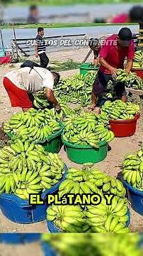 Pucallpa: La puerta mágica a la Amazonía peruana