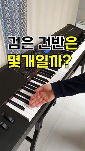 피아노의 검은건반은 몇개일까? (88건반피아노) #piano #피아노 #검은건반갯수