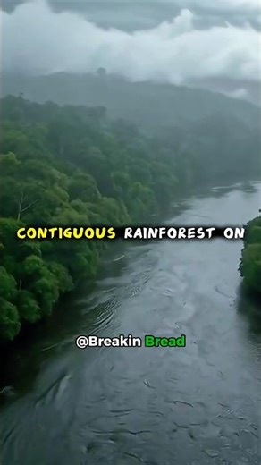 How Big is the Amazon Rainforest?